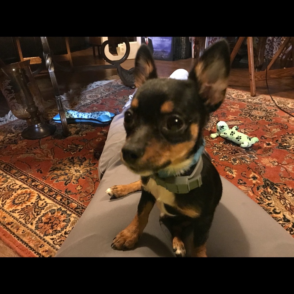 Meet your Posher, Faith